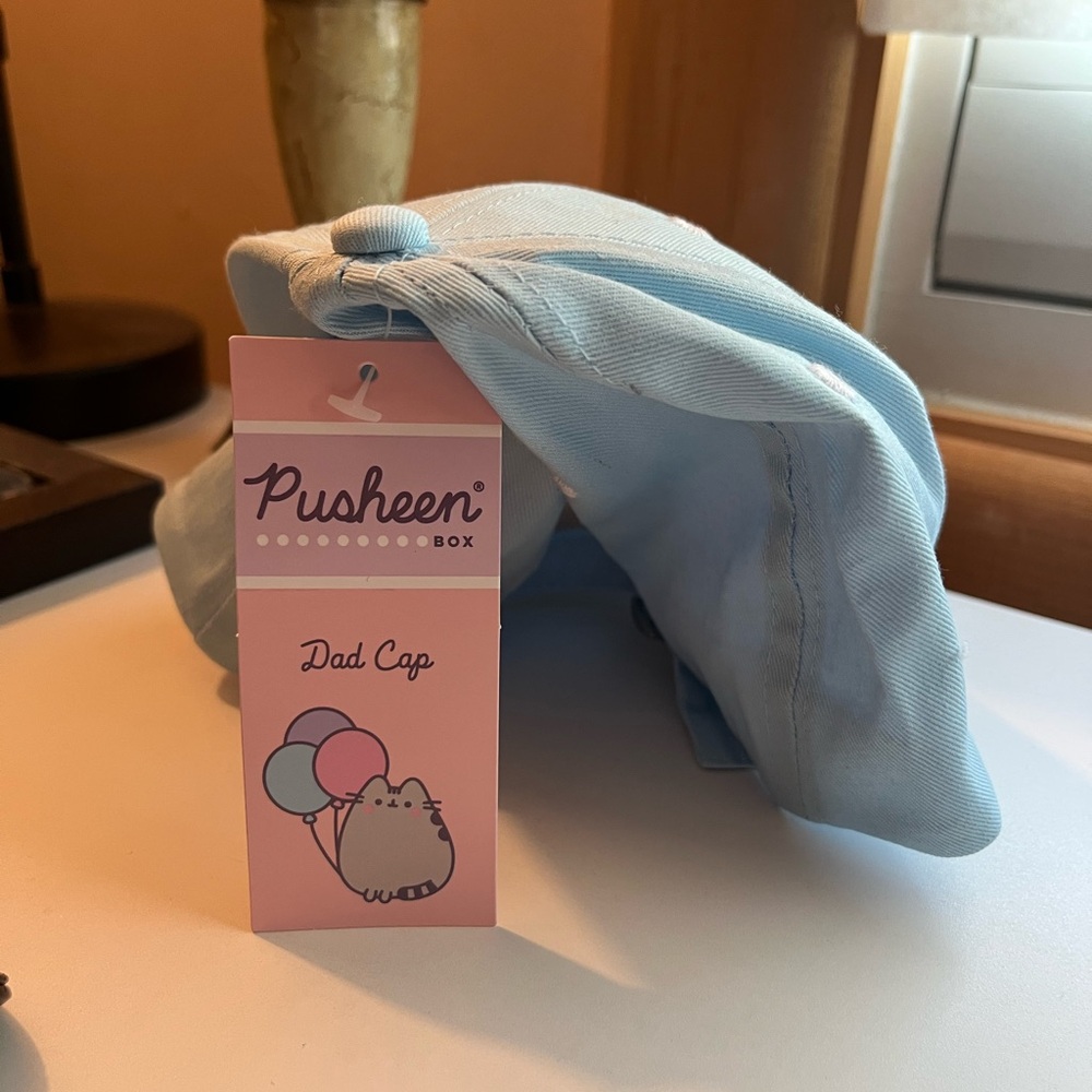 Pusheen Spring 2025 balloons baseball dad cap hat - Picture 2 of 2